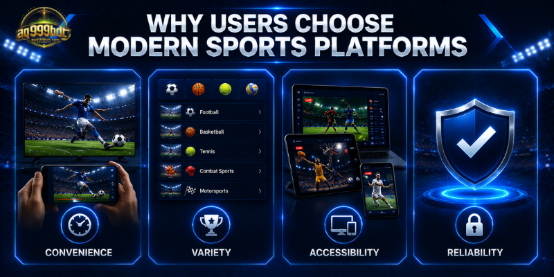 Why Users Choose Modern Sports Platforms
